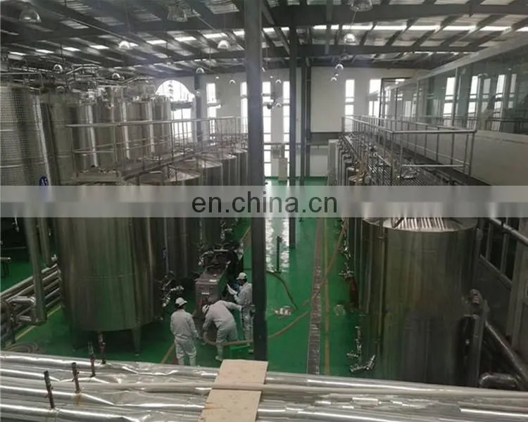 fully automatic pomegranate wine processing plant