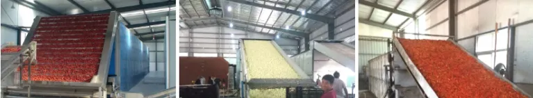 Stainless Steel Nuts Hot Water Blancher Potato Sweet Corn Mangoes Kiwi Chips Boiling Blanching Machine for Jute Leaves