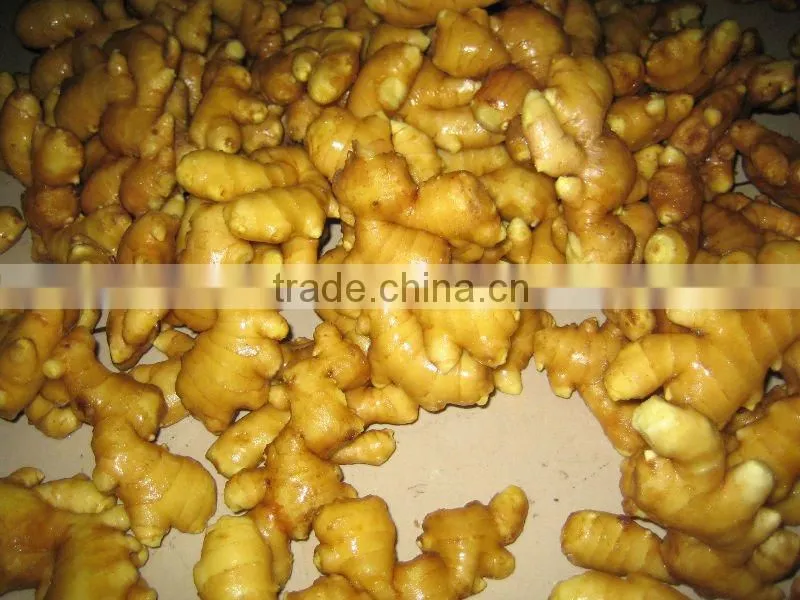 new chinese fresh ginger