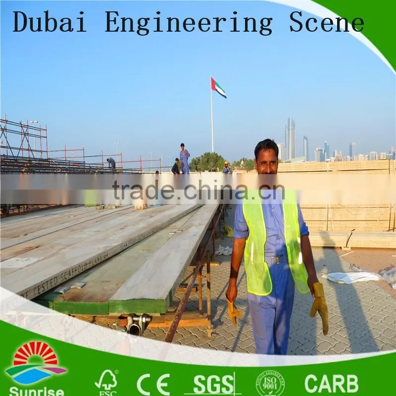 China wood scaffold plank