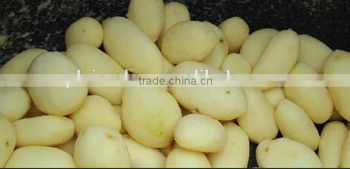 High quality potato peeling machine, potato peeler machine, peeled potato machine