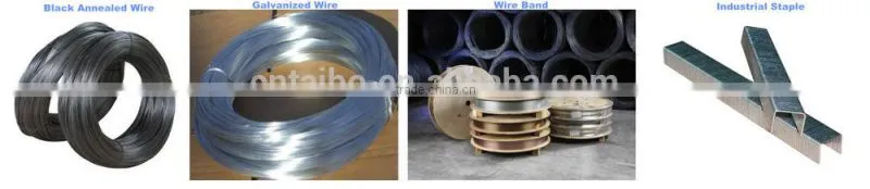 SAE 1008B 6.5 mm steel ms wire rod