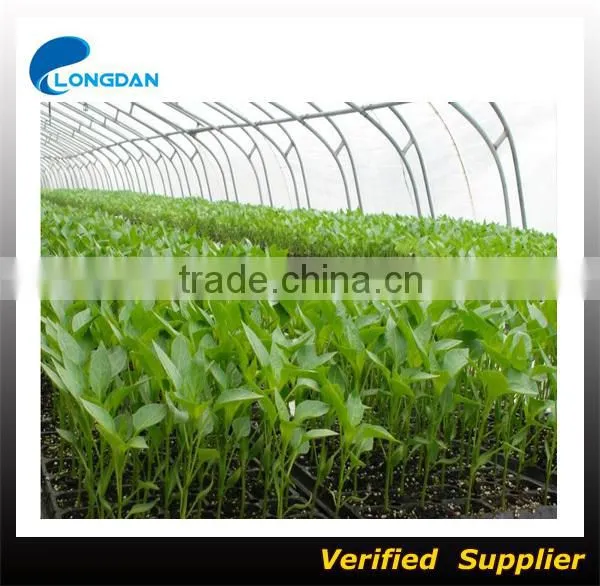 High Quality White Color Powder Diatomaceous Earth for Food