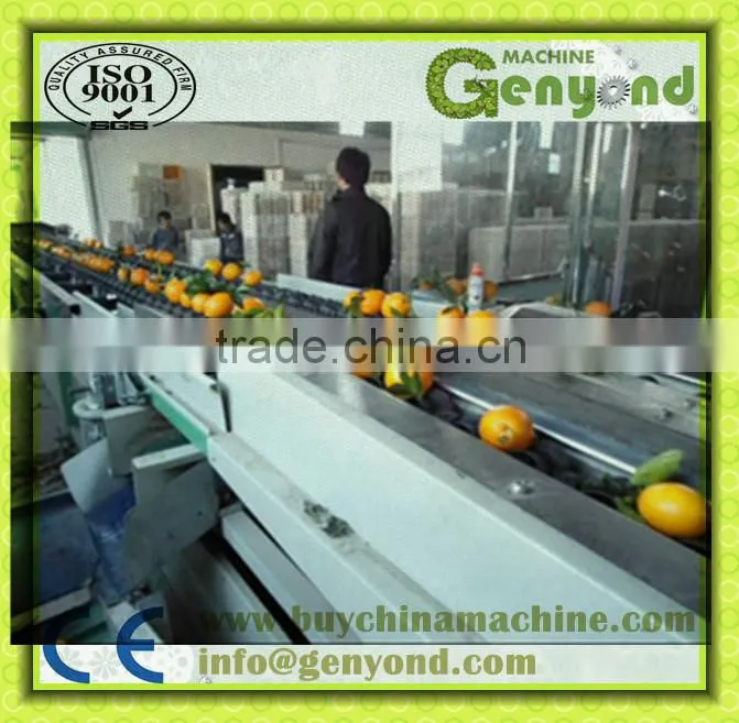 vertical fruit grading machine