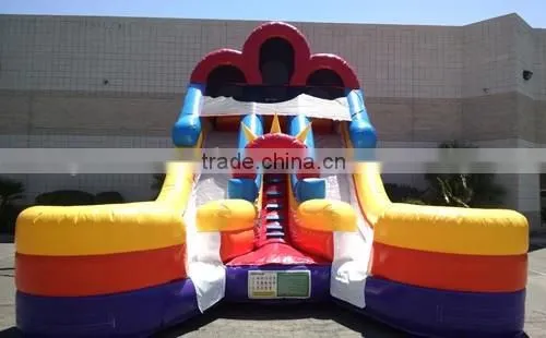 buy giant inflatable water slides dual lanes for kids and adults