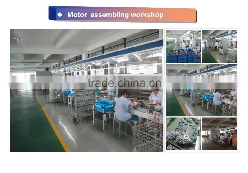 AC Electric Motor for Washing Machine