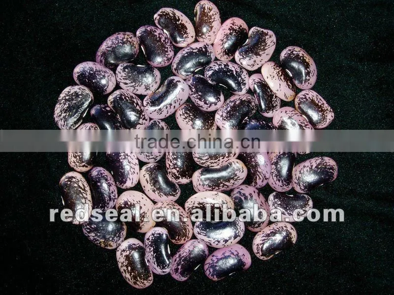 Small Black kidney beans