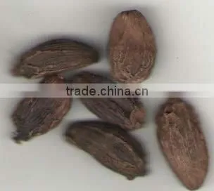 Cardamom Oleoresin
