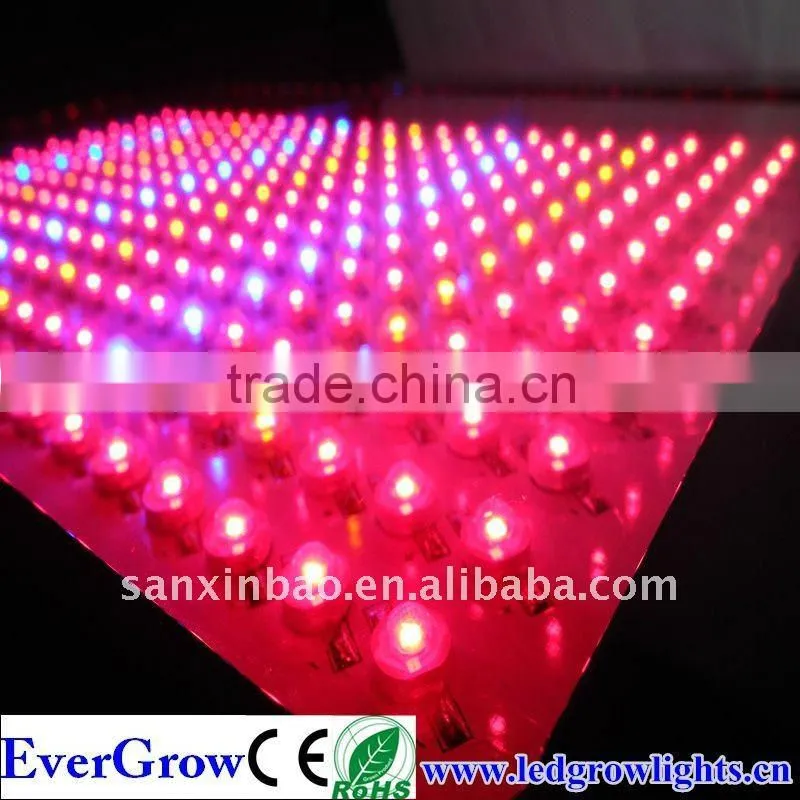 300X3W Hydroponics Low Power Consumption Led Grow Light EG600