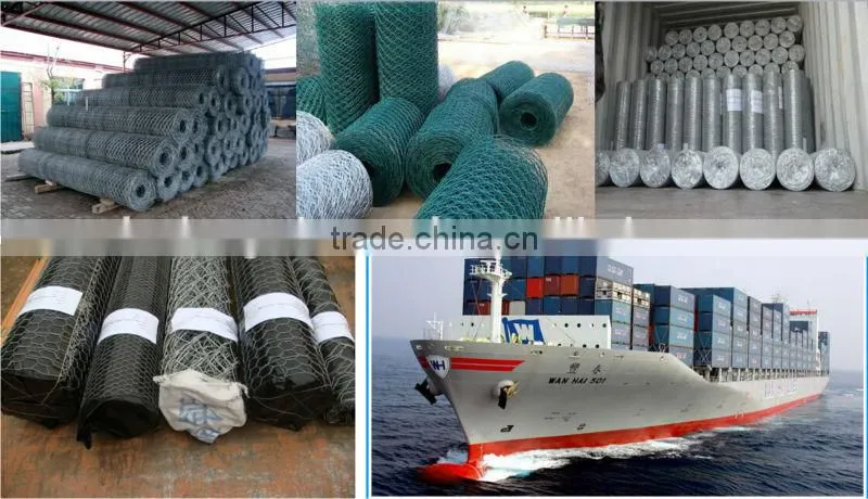 Anping hexagonal mesh