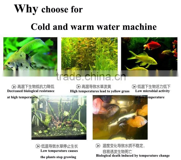 2016 newest product Fish tank cooling and heating machine
