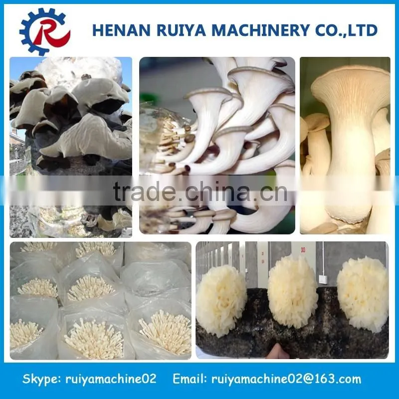 Best Seller mushroom machine | mushroom bigging machine