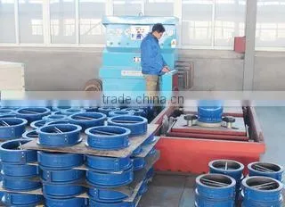Laizhou Dongsheng Valve Co., Ltd. company overview - view 2