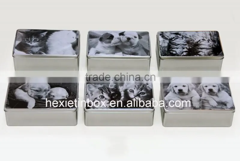 Best Chinese High Quality Cookie Tin Box