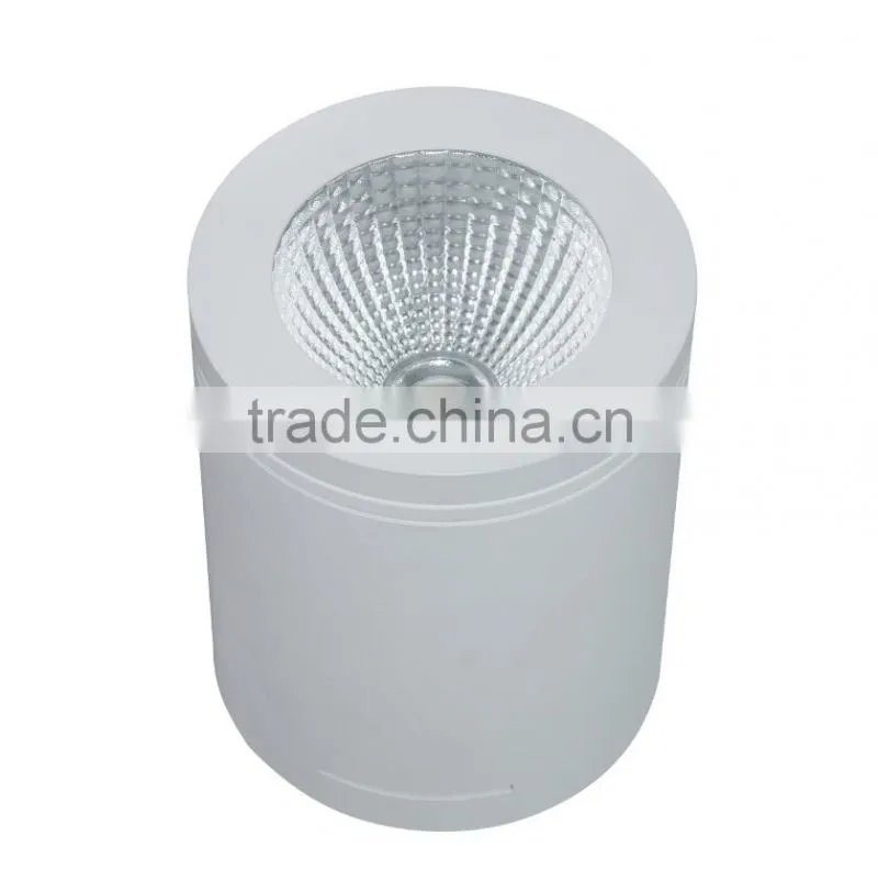 30W COB LED Surface Mounted Downlight ip44 15w led downlight