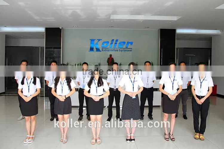 Koller 20 tons cube ice machine with CE, SGS, CAS Certificate