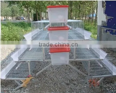 quail battery cages for sale poultry battery cages chicken cages