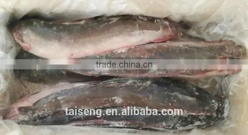 Frozen Catfish Whole Round