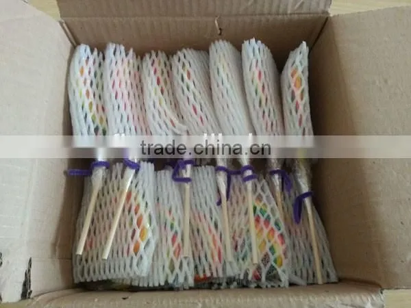 Strawberry flavou Fruit Rainbow Swirl Flat Giant Lollipop