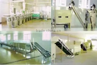 Xichuan Xinda Condiment Co., Ltd. company overview - view 2