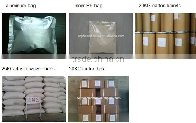 Hydrolyzed lecithin powder