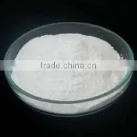 Zeolite Nanopowder