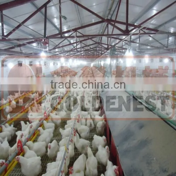 Goldenest automatic egg collection system chicken nesting boxes factory price JCJ15-A02