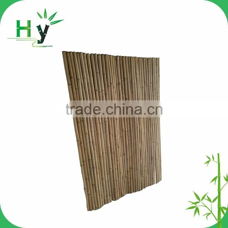 Bamboo pole ++++