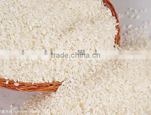2013 newest best selling effective paddy pounder