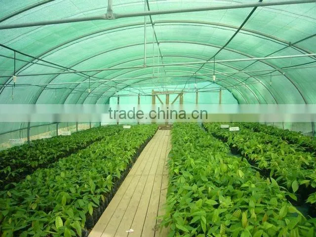 Vegetable &Fruit Used Pvc Greenhouse