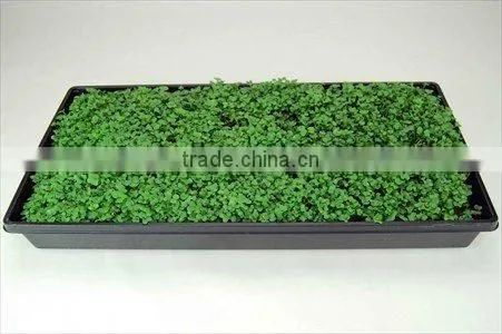 OEM Greenhouse Plastic Plant Sprout Nursery Tray for Microgreens