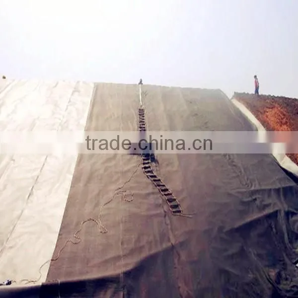 Directly supplyTextured(Point) Geomembrane from Manufacturer