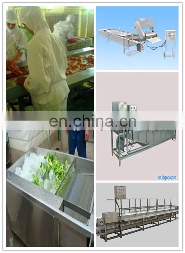 Automatic washing machine vegetable bubble washer
