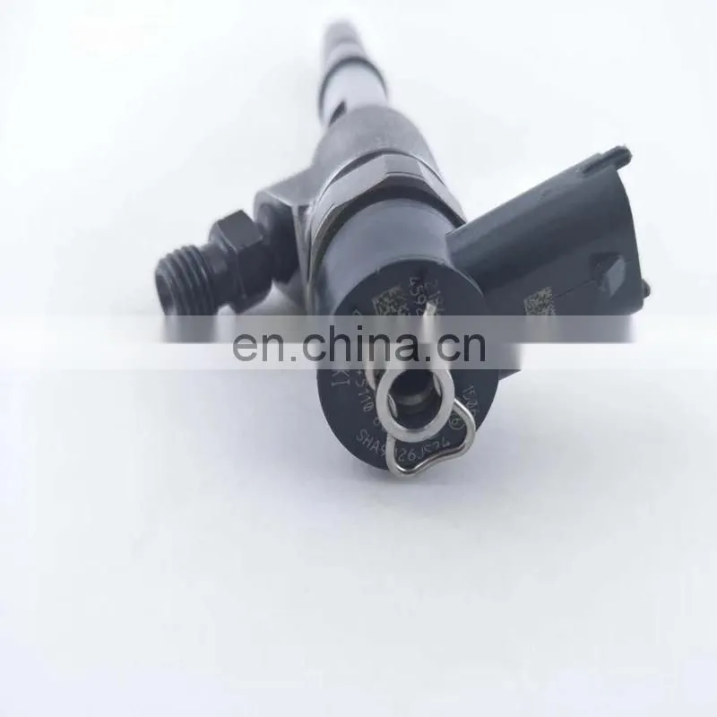 bo sch Common Rail injector 0445110862 ( 0 445 110 862)
