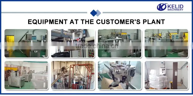 Fully Automatic Stainless Steel Puttanesca Processing Equipment