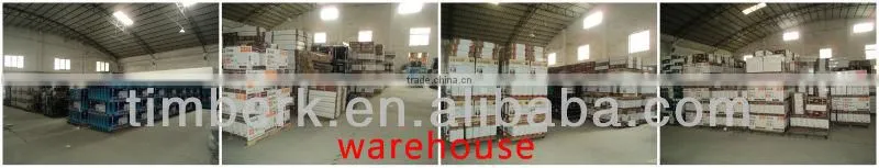 indoor gas heaters