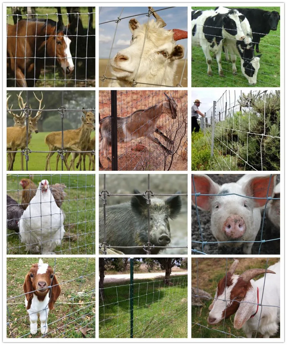 Hinge-Joint-Fence-Livestock-High-Tensile-Cheap-Wire-Fencing