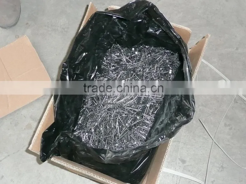 polished common iron nails