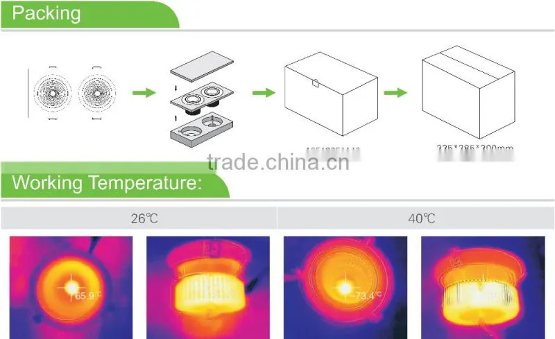 2*30W LED downlight ceiling light