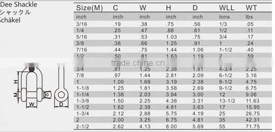 16 years experience China suppiler factory price ss 304 D shackle