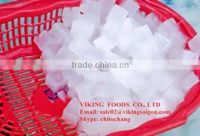 DELICIOUS NATA DE COCO IN SYRUP