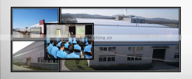 Huminrich Shenyang Blackgold Humate Organic Nitrogen In Mushroom