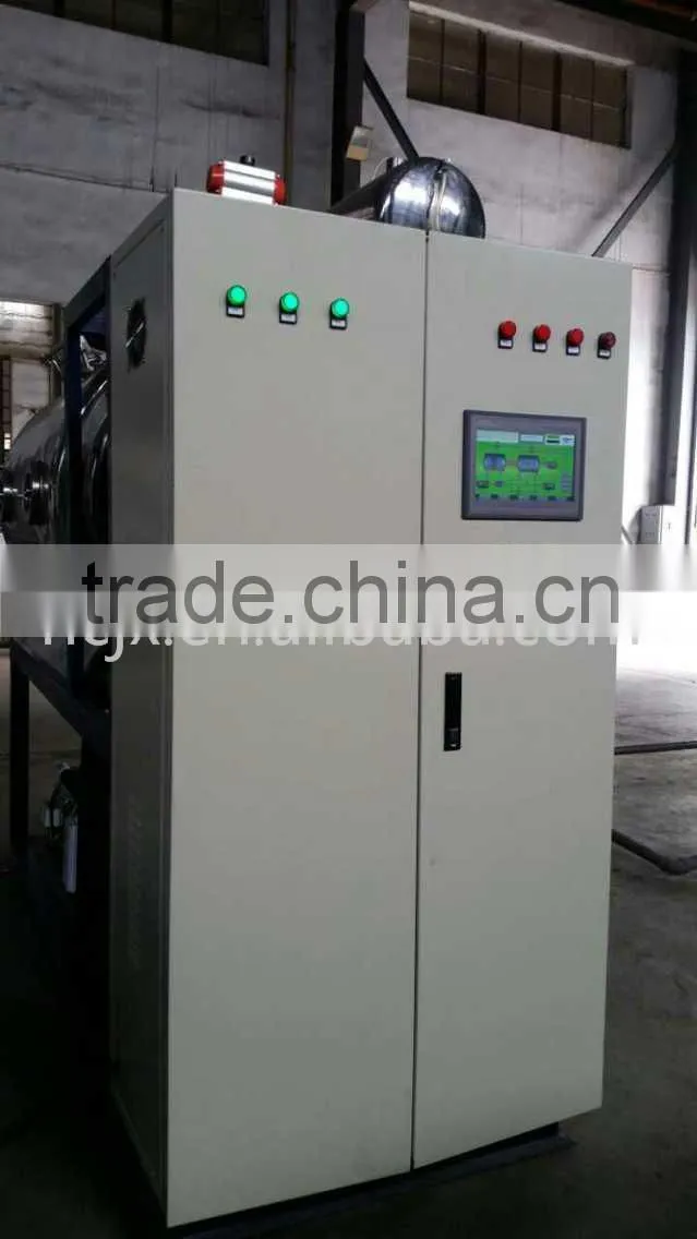 vacuum freeze dryer for food