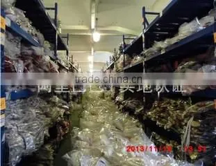 Foshan Joinshine Trade Co., Ltd. company overview - view 2