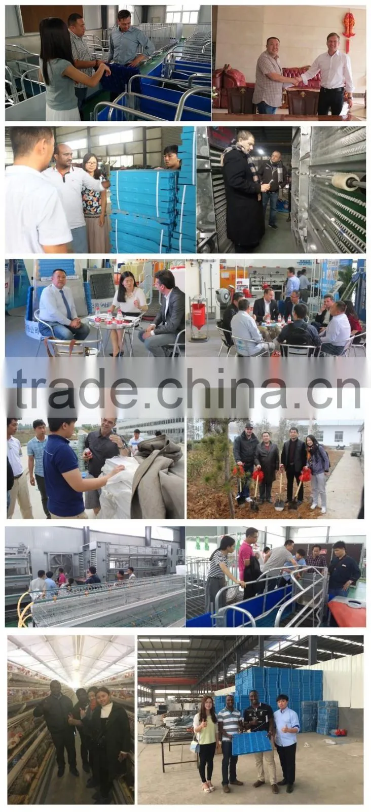 popular selling layer cage chicken cage layer cages for sale