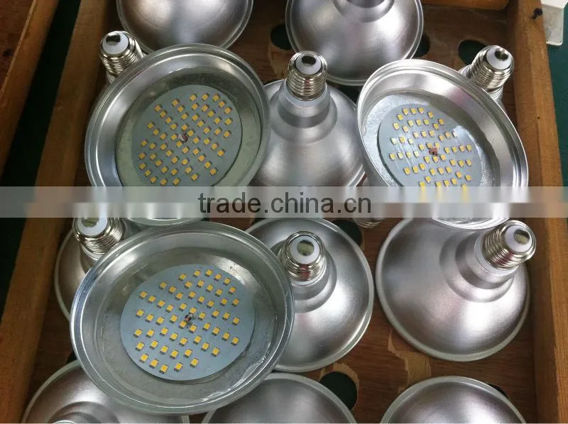 led PAR30 spot light