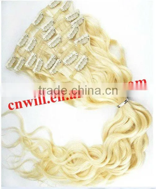 100% Human Remy Hair Clip In Extensions Indian Hair Extension