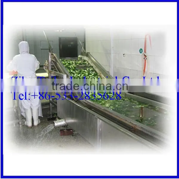 Stainless Steel Automatic Mango Washing Machine