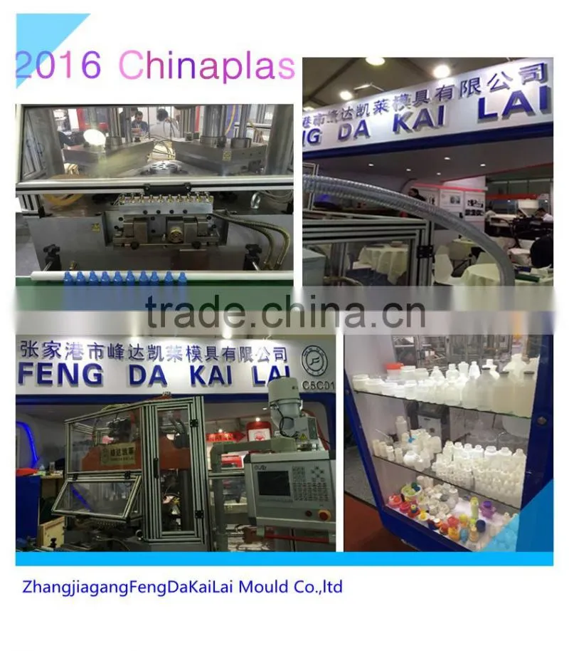 FD small plastic bottle making machine mould/mold