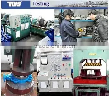 DIN Standard F4 Gate Valve